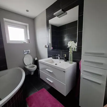 Apartment Comfortable 4 4 Full Family Trzic